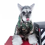 Method Teddy Schnauzer Waterproof Dog Raincoat Snowproof Windproof Camouflage Reflective. Keep your dog dry and safe! — photo 4
