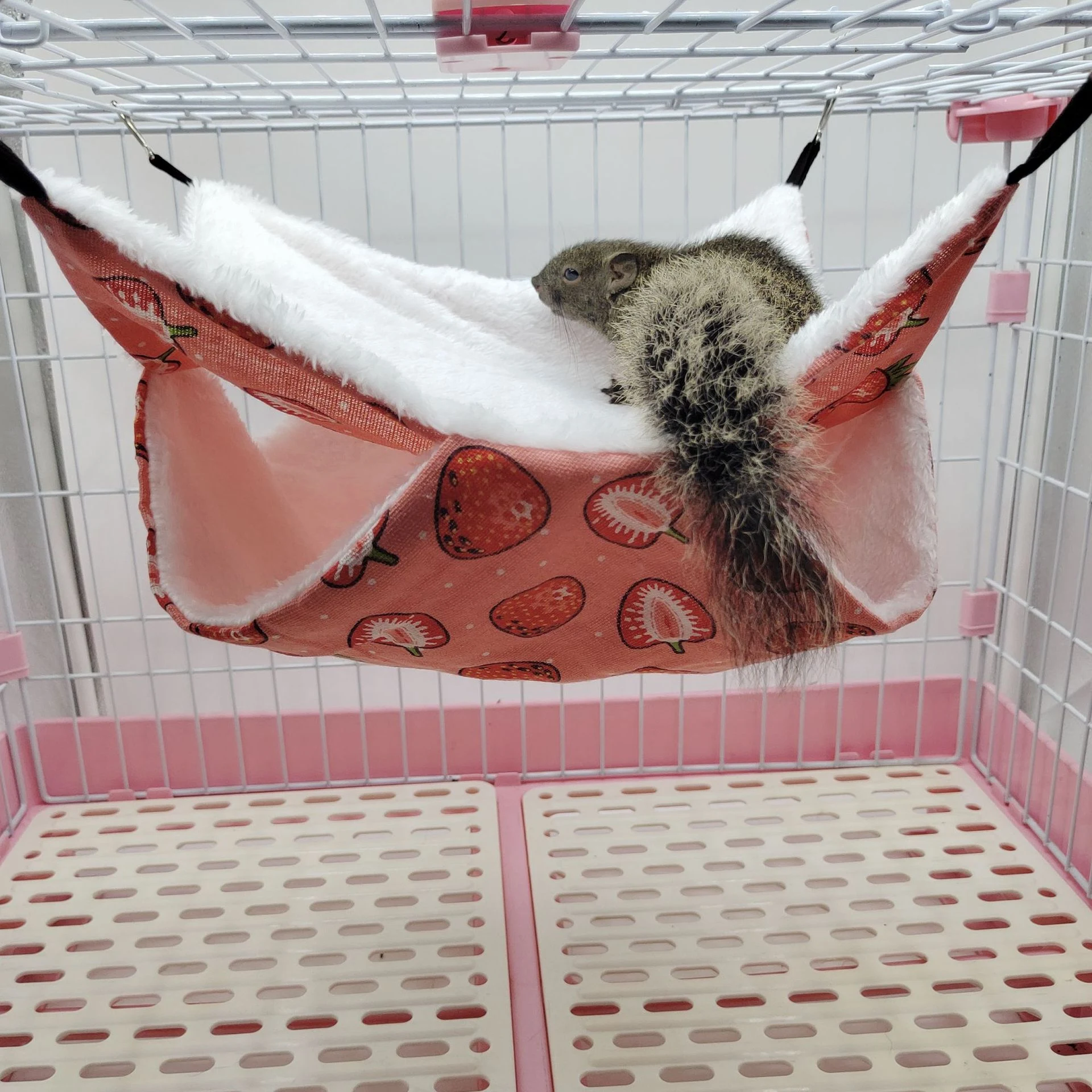 Title 79, Hamster Hammock Honey Bag Glider Insulation Dou...