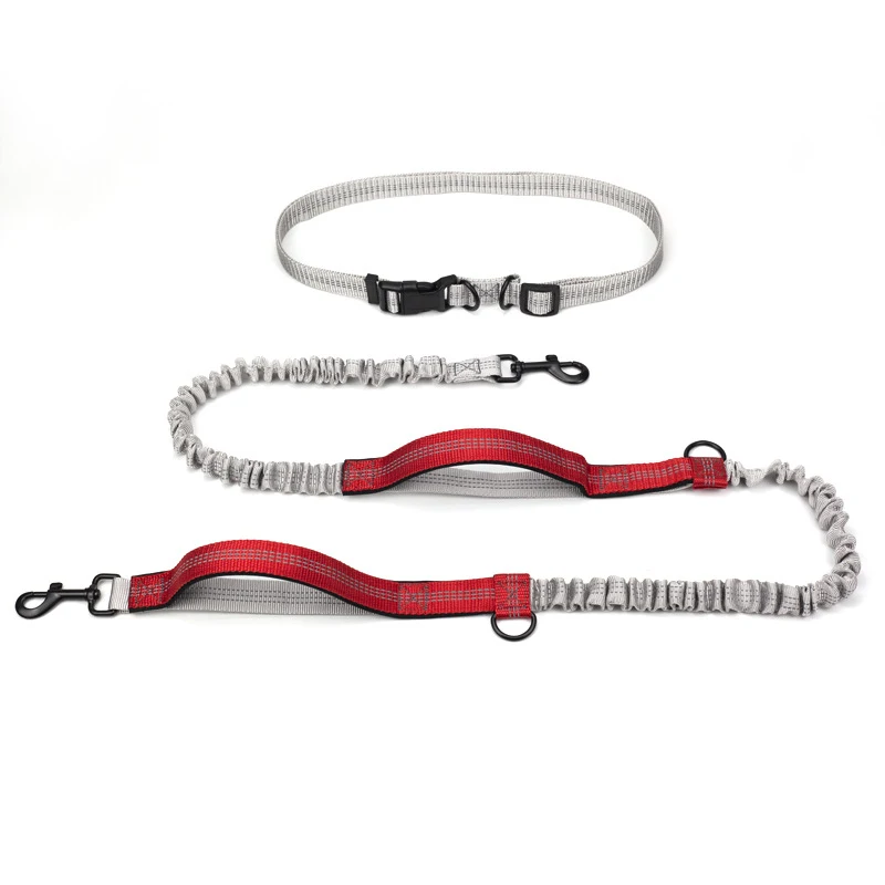 Multifunctional Running Reflective Double Telescopic Dog Leash. Enjoy safe and comfortable runs with your dog. Extra con — photo 1