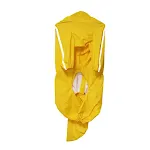 Yellow Male