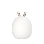 Rabbit light