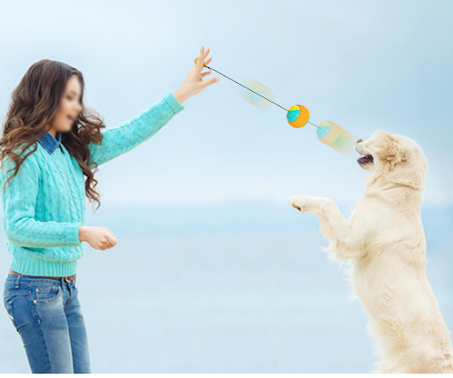 Title 4, New Pet Draw Rope Hand Throwing Ball ABS Grindi...