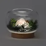 Summer Gift