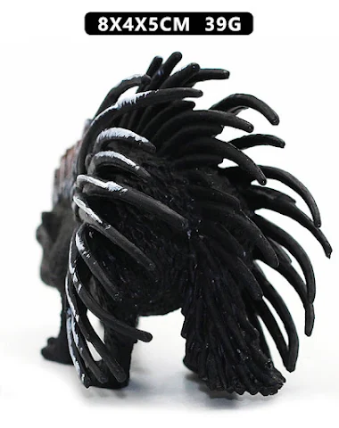 Image product - 2