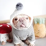 Pet Dog Lamb Velvet Striped Knitted Hooded Sweater. Keep your dog warm and stylish with this comfortable and cozy winter — photo 3
