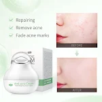 Kräuter-Gesichtslotion zur Feuchtigkeitspflege. Hautpflegeprodukte für Feuchtigkeit und Ausstrahlung. Natürliche Feuchtigkeit für das Gesicht. — foto 1