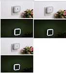 White 6pcs