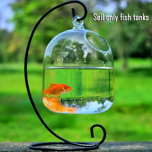 Hanging Transparent Glass Vases Fishbowl Fish Tanks Handmade Aquarium Decor — photo 6
