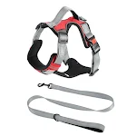 Dog Hand Holding Rope Vest Chest Strap Secure Walks and Enhanced Control Comfortable Harness Design for Dogs — photo 3