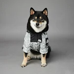 Dog Noodles New Shell Jacket for Large Dogs and Pets. Provide protection and style for your dog with this durable and un — photo 14