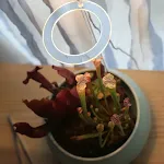 Lâmpada de cultivo LED de espectro completo USB para plantas. Iluminação de crescimento para plantas de interior, estimula o crescimento saudável. — foto 23