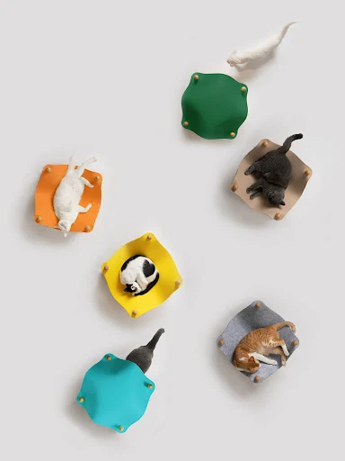 Title 6, Easy to Clean Cat Climbing Frame Nest provides ...
