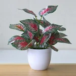 miniatures image - 15