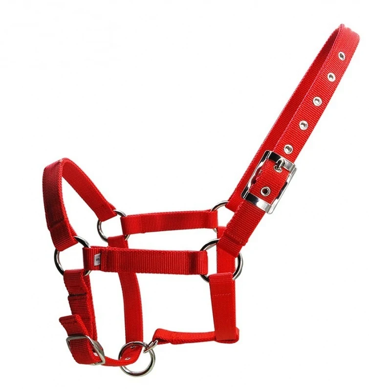 25mm Wide Thickened PP Braid Pull Horse Halter Silver Belt. Durable and comfortable for effective horse handling and con — photo 5