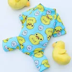 016 Four Pants Blue PiYo PiYo