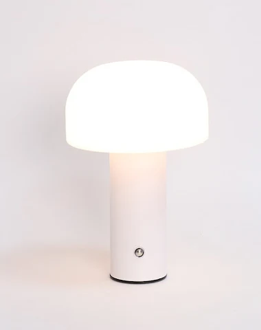 Image product - 3