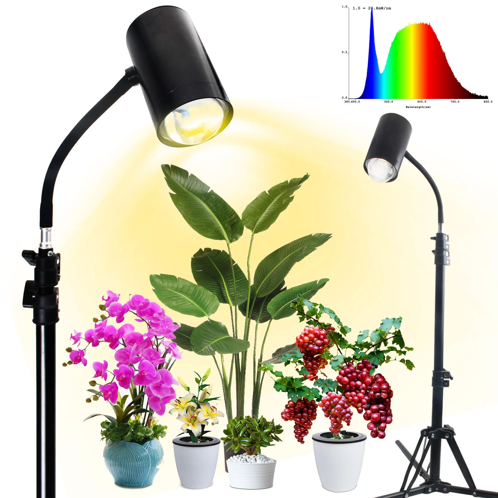 product image - 4