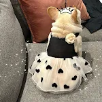 Dog Summer Casual Printed Skirt. Lightweight and comfortable, perfect for sunny day walks and play. Keeps your dog cool — photo 5