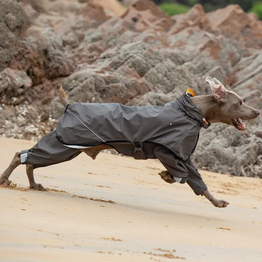 Title 3, Medium Large Dog Waterproof Raincoat Poncho, Pr...