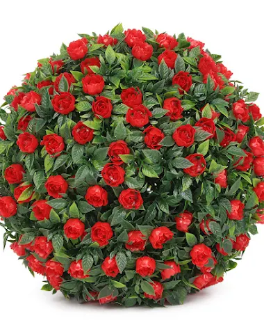 Image product - 0