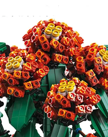 Image product - 2