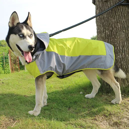 Title 5, Color Block Cloak Big Dog Raincoat Outdoor Brea...