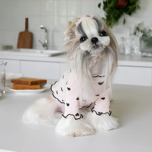 Title 4, Vestido navideño para perros y gatos para el ho...