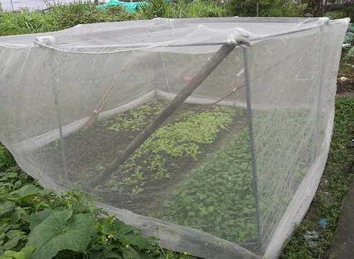 Title 3, Insect Net Fruit Tree Pest Control Plant Protec...