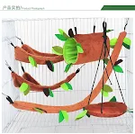 5pc