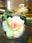 miniatures image - 13