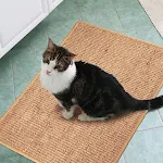 Anti-scratch pet cat paw board for sofa. Durable protection against furniture damage. Easy to install and use. Keeps you — photo 1