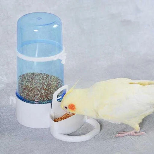 Bird Water Drinker Feeder Container Automatic Birdcage Water Bottle Transparent Bird Drinking Fountain Dispenser Parrot — photo 6