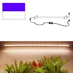 220V US