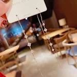 Brincos Longos com Franjas de Zircônia Micro-Incrustada Agulha de Prata Joias Femininas Elegantes e Sofisticadas — foto 5