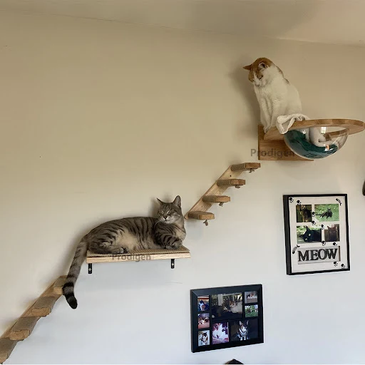 Wall Mounted Cat Climbing Shelves Wooden Furniture Scratcher Jumping Platform Rope Ladder Cat Sleeping and Playing — photo 5