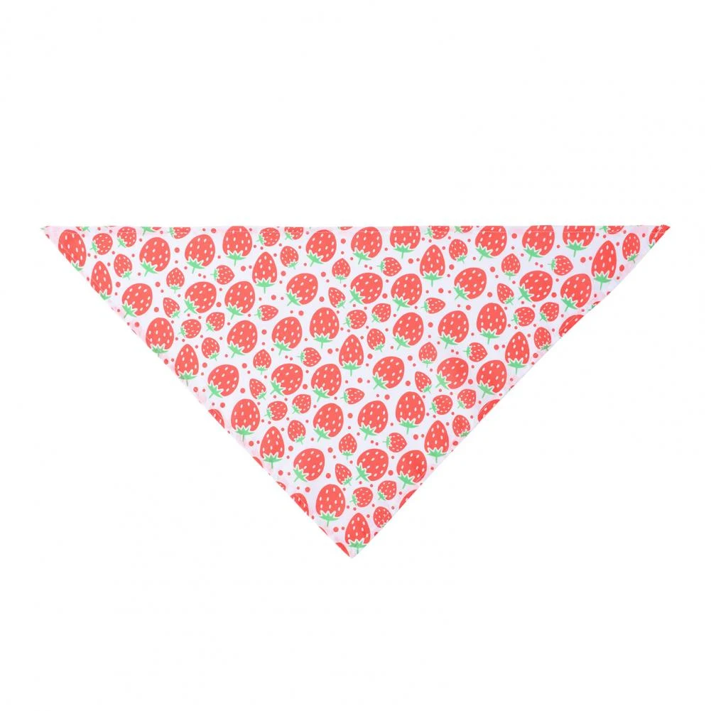 Title 3, Polyester Cute Fruit Kiwi Teddy Kerchief Tropi...