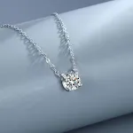 Silver Plated Platinum