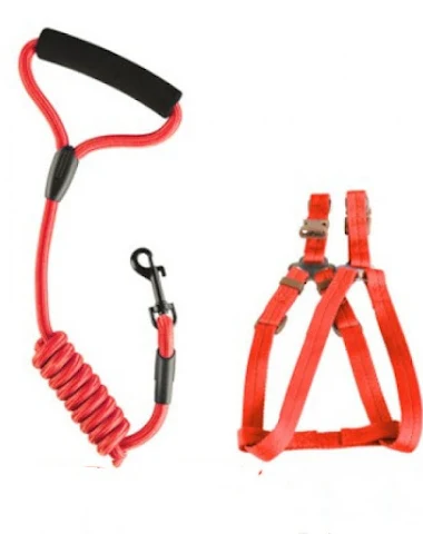 Image product - 0