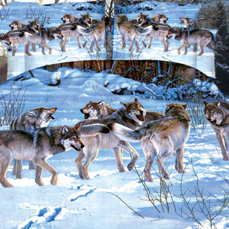 product image - 14