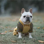 miniatures image - 1