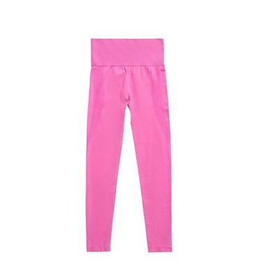Damen High Waist Nahtlose Fitness Yoga Hose, für maximalen Komfort und Bewegungsfreiheit. Ideal für Yoga, Fitness und Alltag. — foto 1