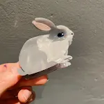 Acetate Rabbit