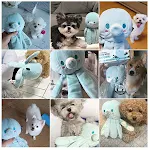 Tibetan Food Sound Paper Cute Octopus Dog Toy offers fun, interactive play. This durable toy features Tibetan food, crin — photo 4