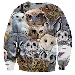 3D Digitaldruck Herren Rundhals Sweatshirt. Bequem und stylisch, für einen individuellen Look. Ideal für Alltag und Freizeit. — foto 5