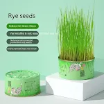 Cat Grass Can Rye Seeds