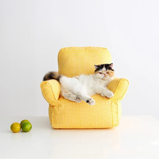 Title 8, Nordic Sofa Cat Pet Bed Your Cat Will Rest Comf...