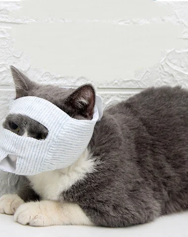 Image product - 0