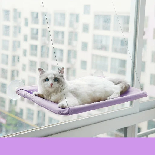 Title 7, Pet Litter Sucker Hanging Cat Window Hammock a ...