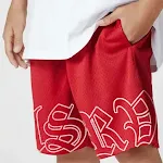 Men's Lightweight Mesh Beach Shorts Breathable and quick-drying Perfect for beach, pool, and outdoor activities Comforta — photo 6