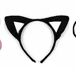 White Spot Cat